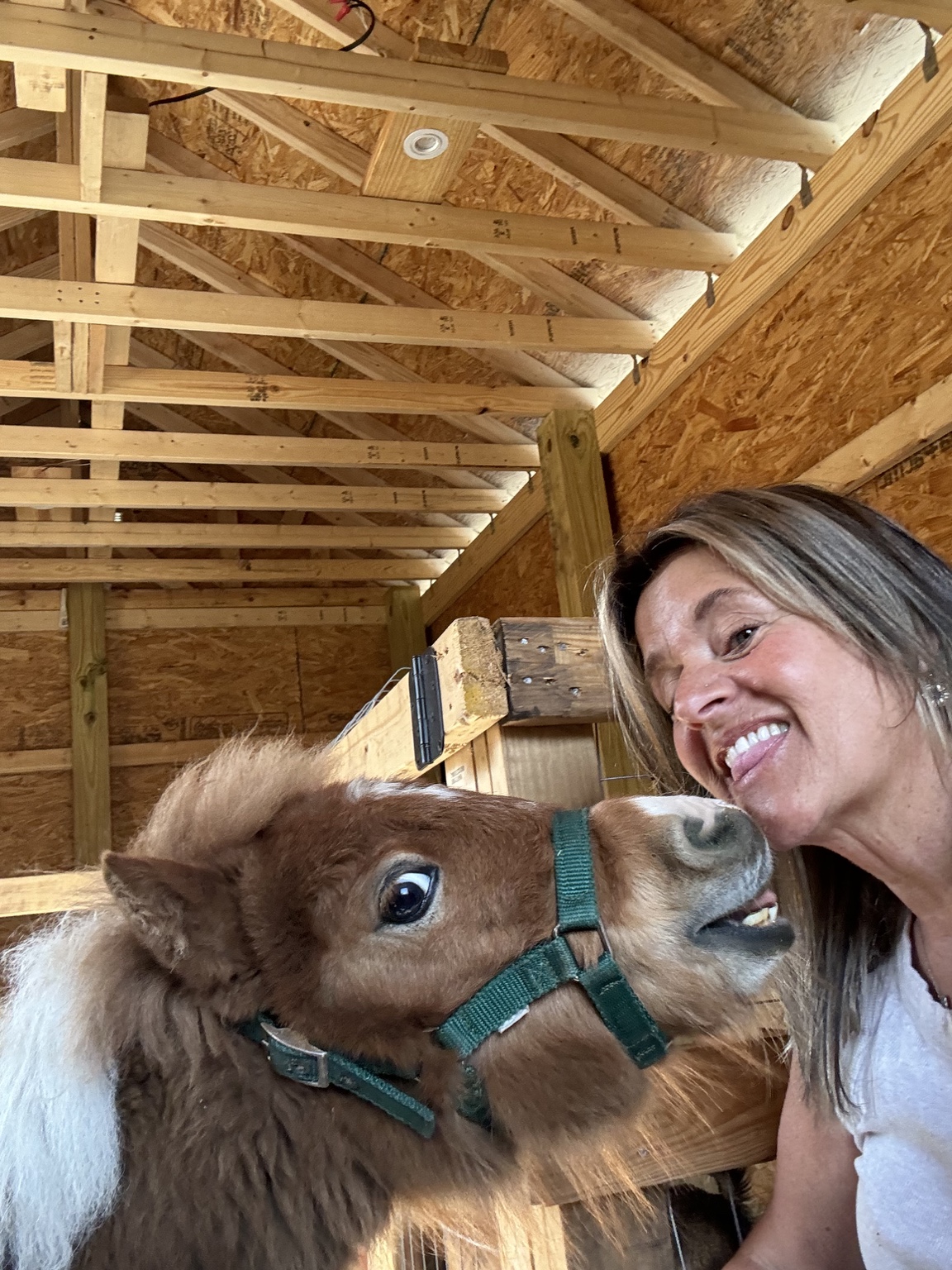 Calais with her horse