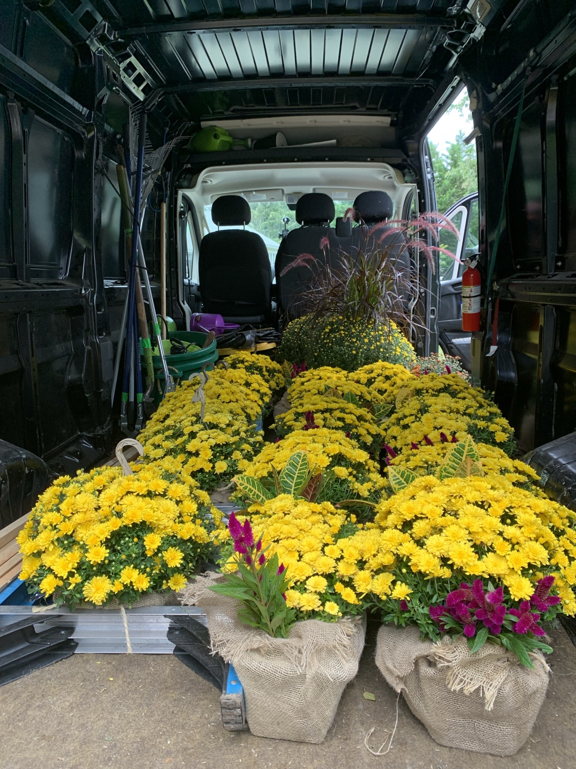 Fall flowers loaded for a Calais Flower project