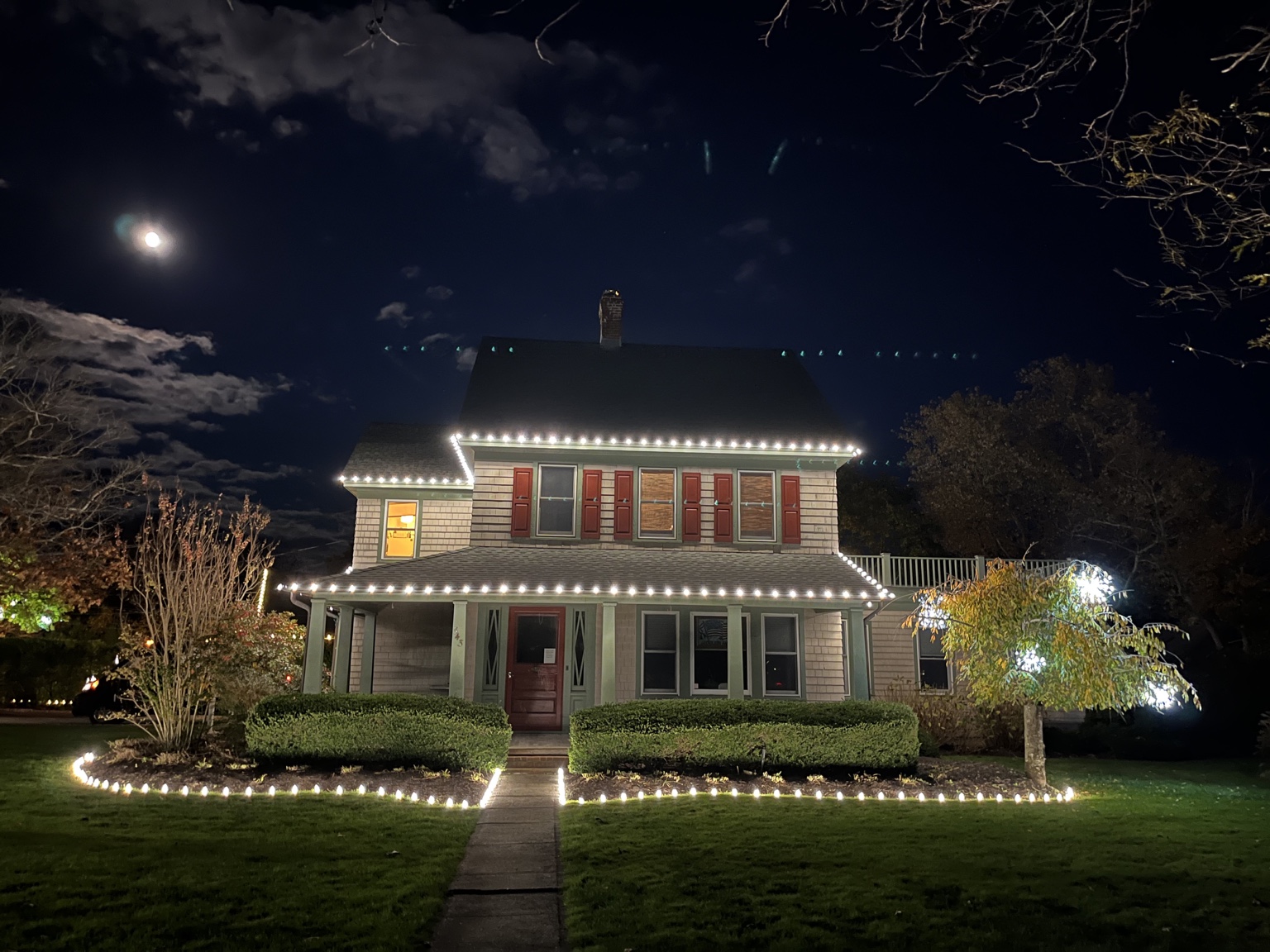 Calais Flower Christmas lighting