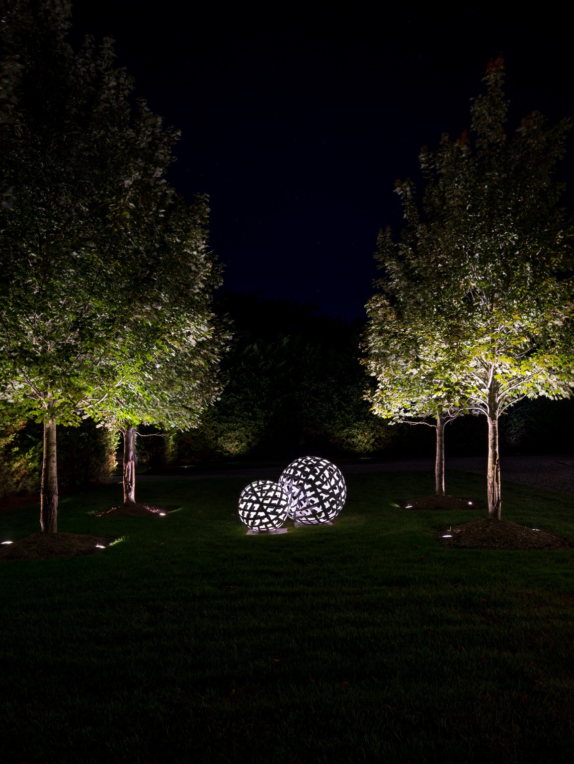 Illuminated trees and garden sculpture