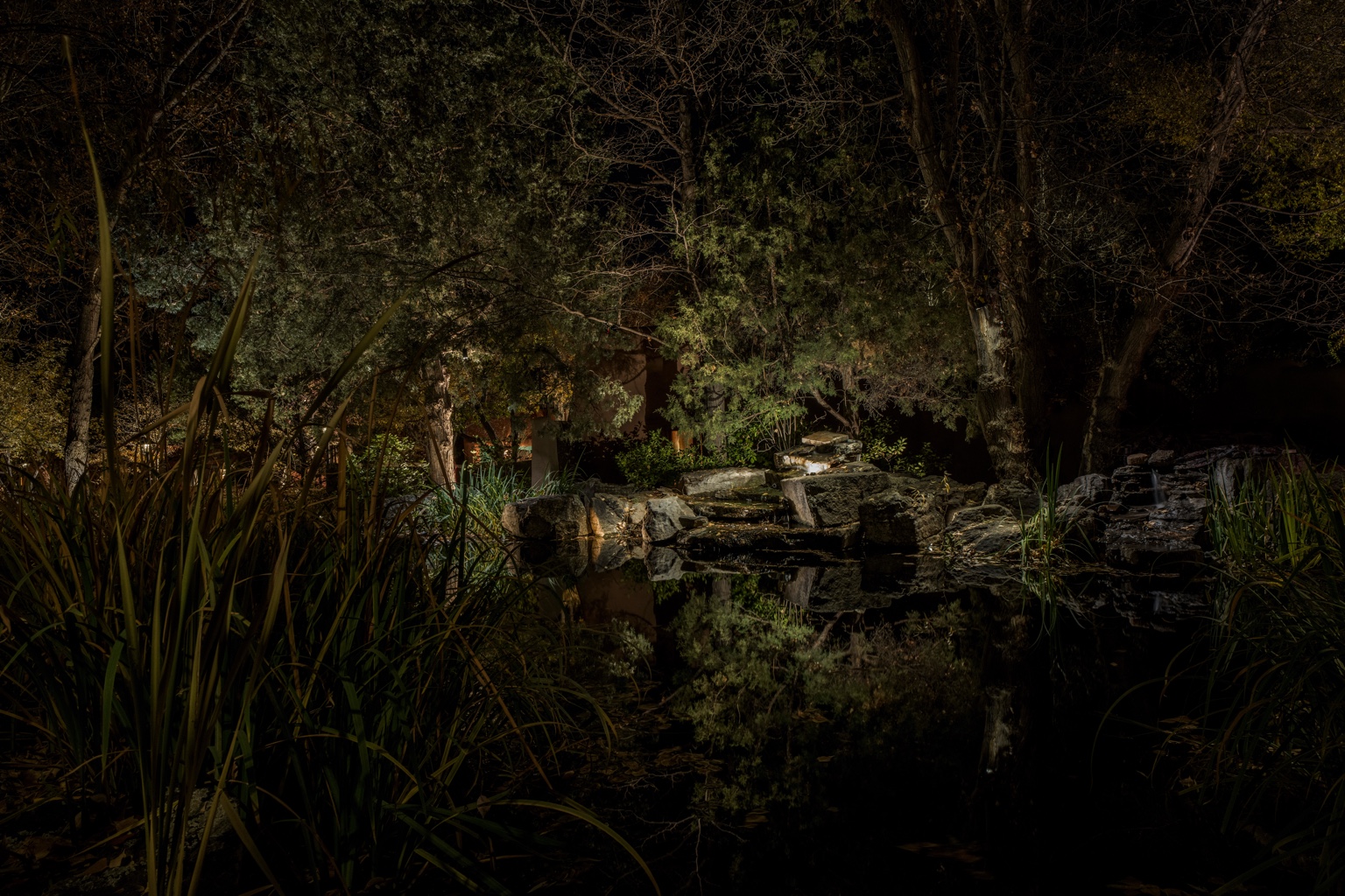 Landscape lighting around a water garden